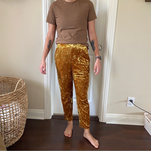 Lieth crushed velvet elastic wait pant XS - Picture 5 of 6